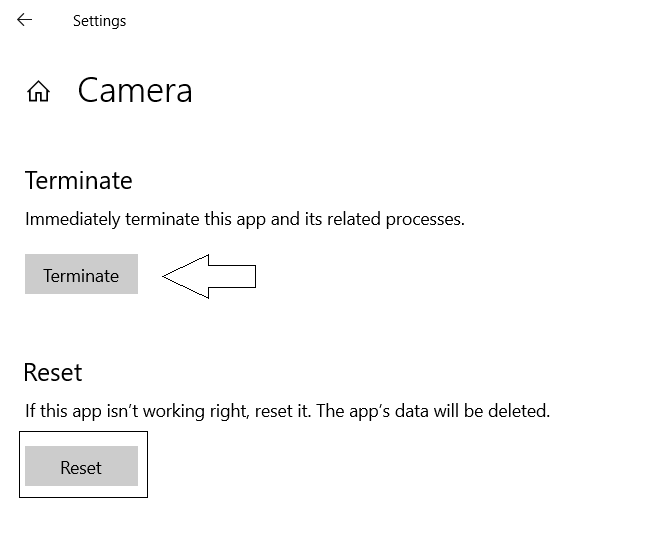 Fix Webcam keeps turning off and on again on Windows 10 terminate-camera.png
