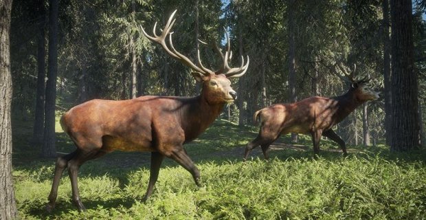 Next Week on Xbox: New Games for October 2 to 5 thehunter-large.jpg
