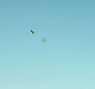 What is this and how do I remove it? tSCaOJzZWn2D0oh7sXphtVfC565uJctmKpgGtJtSG0A.jpg