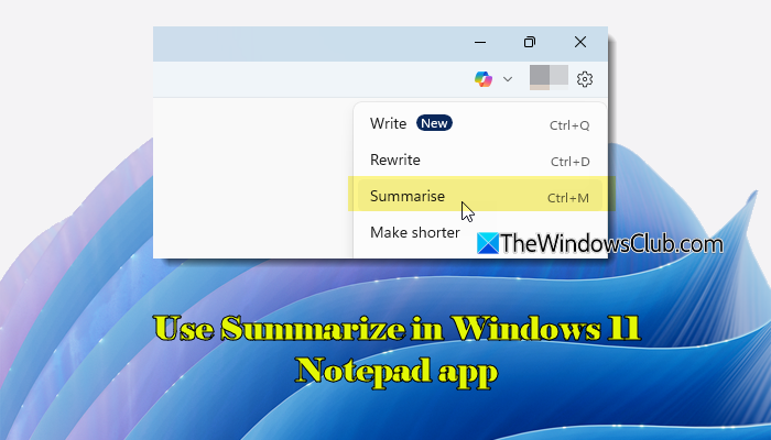 How to use Summarize in Windows 11 Notepad to Enhance Writing with AI Use-Summarize-in-Windows-11-Notepad-app.png