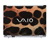 My problem is with display of notebook Vaio Windows 11 home. Vaio_Splash_Spots_Front_F_lg_thm.jpg