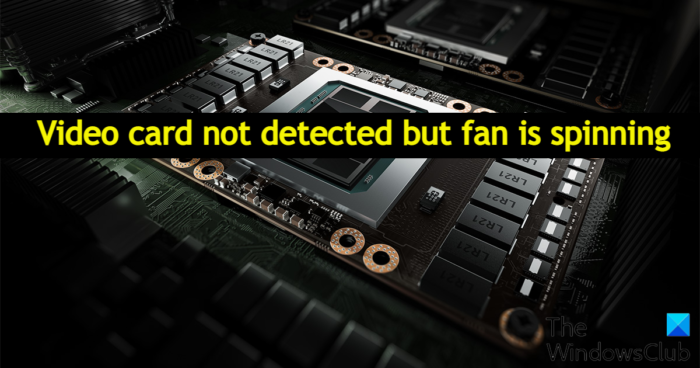 Video card not detected but fan is spinning Video-card-not-detected-but-fan-is-spinning-e1649602671140.png