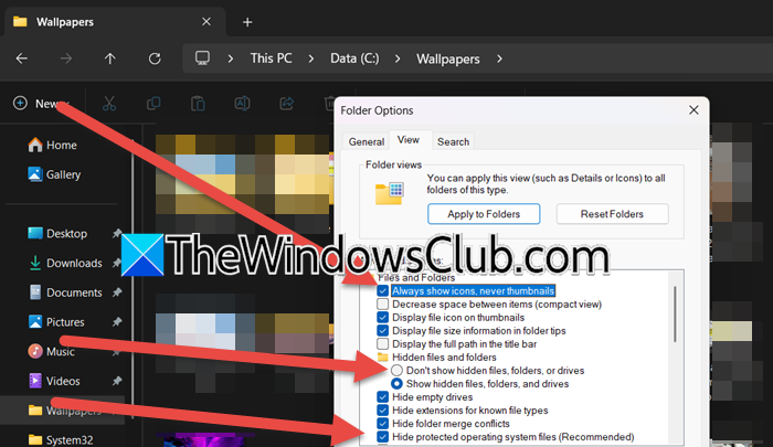 Explorer crashing when opening large folder in Windows 11 [Fix] view-tab.png