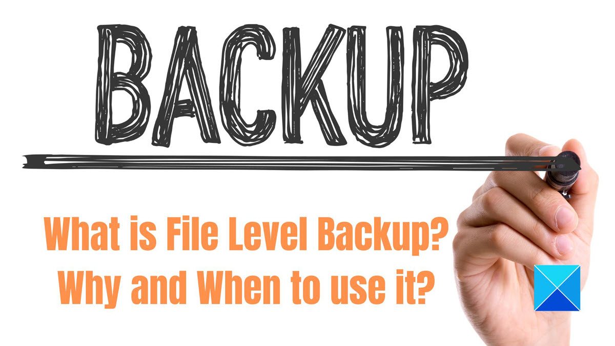 What is File Level Backup? Why and When to use it? What-is-File-Level-Backup-Why-and-When-to-use-it.jpg