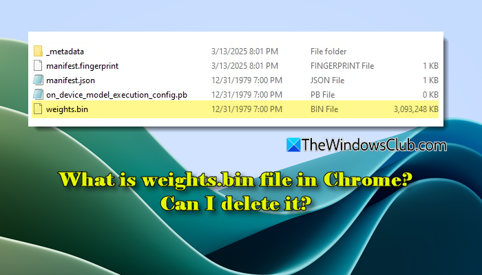 What is weights.bin file in Chrome? Can I delete it? What-is-weights.bin-file-in-Chrome-Can-I-delete-it.png