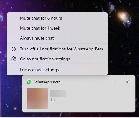 WhatsApp Beta for Windows 10 and 11 is now available on the Microsoft Store WhatsApp-beta-notifications.jpg