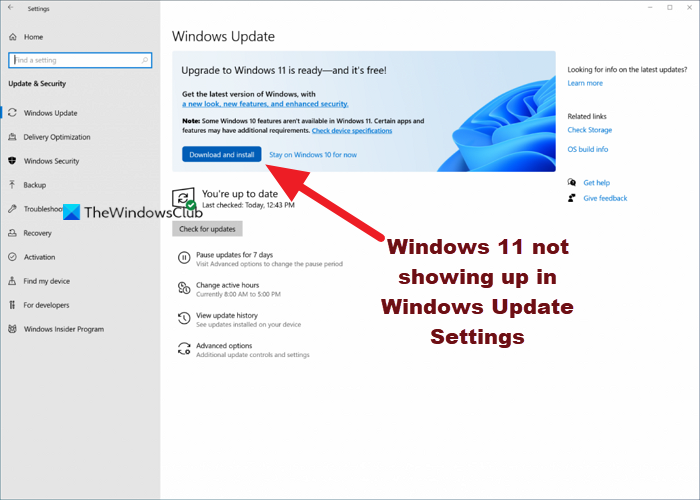 Windows 11 not showing up in Windows Update Settings Windows-11-not-showing-up-in-Windows-Update-Settings-1.png