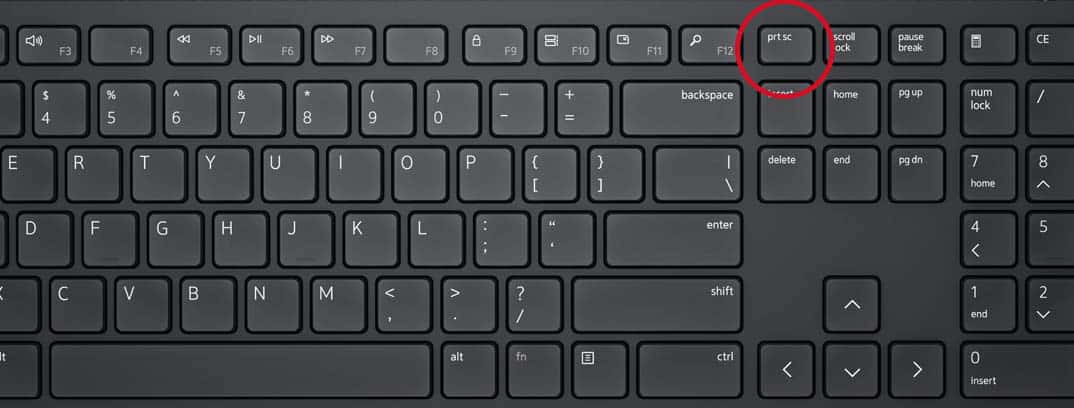 How To Take a Screenshot on Windows 11? Windows-11-Screenshot-Process-Different-Methods.jpg