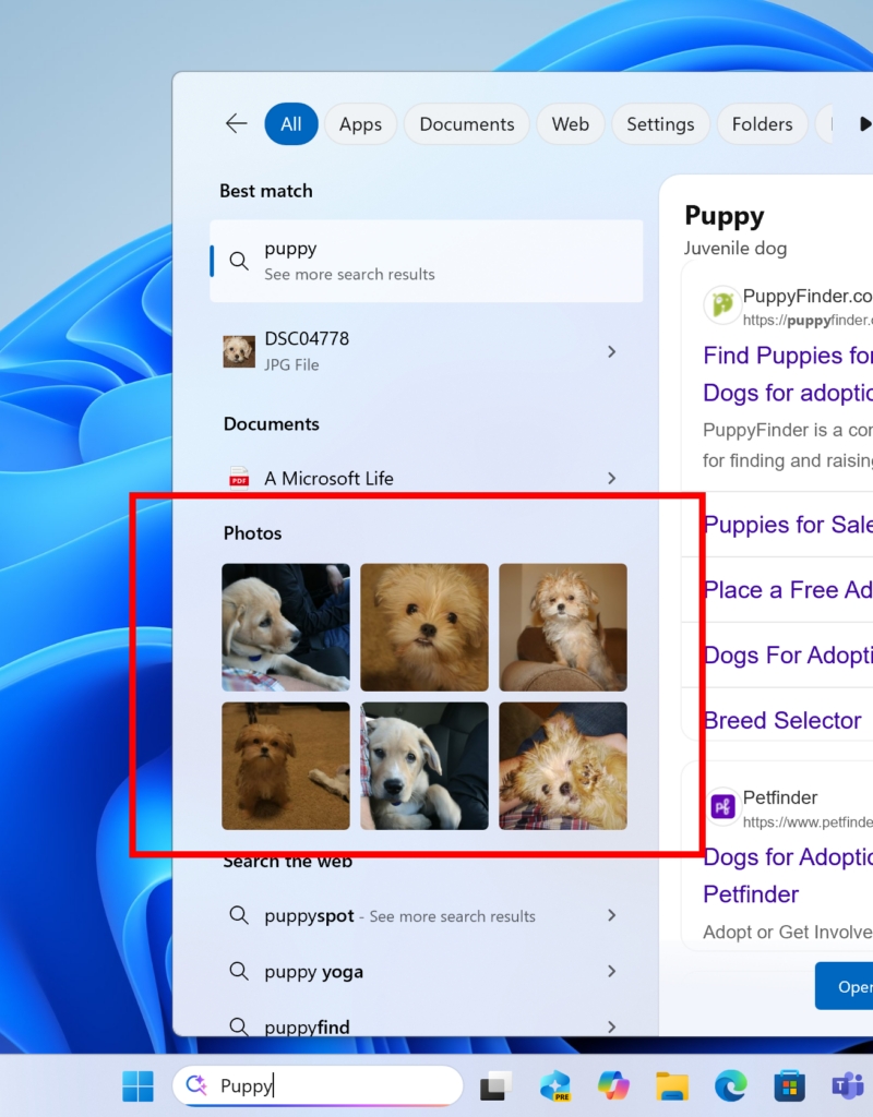 Windows 11 will soon let you access Notifications on multiple monitors Windows-11-Search-Box-image-grid.jpg
