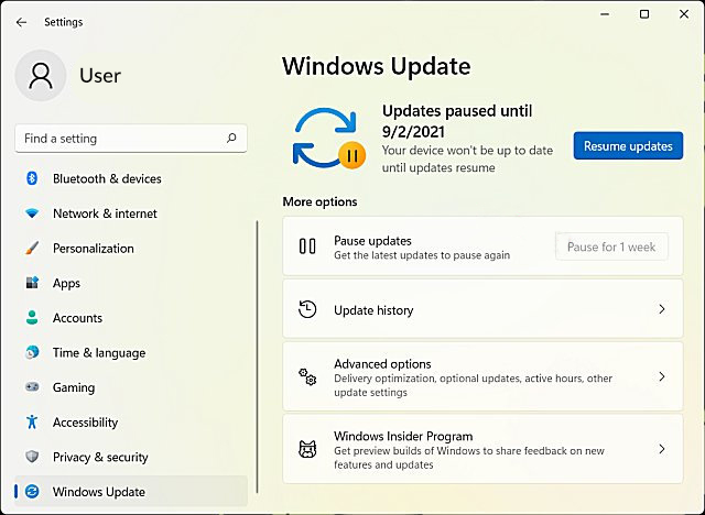 Stop Windows 11 Update Notifications & Automatic Installation Windows-11-Updates-Steps-To-Disable-Automatic-Updates.jpg