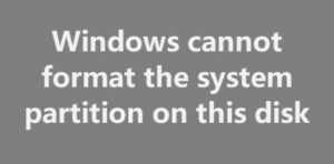 Fix Windows cannot format the system partition on this disk Windows-cannot-format-the-system-partition-on-this-disk-300x148.jpg