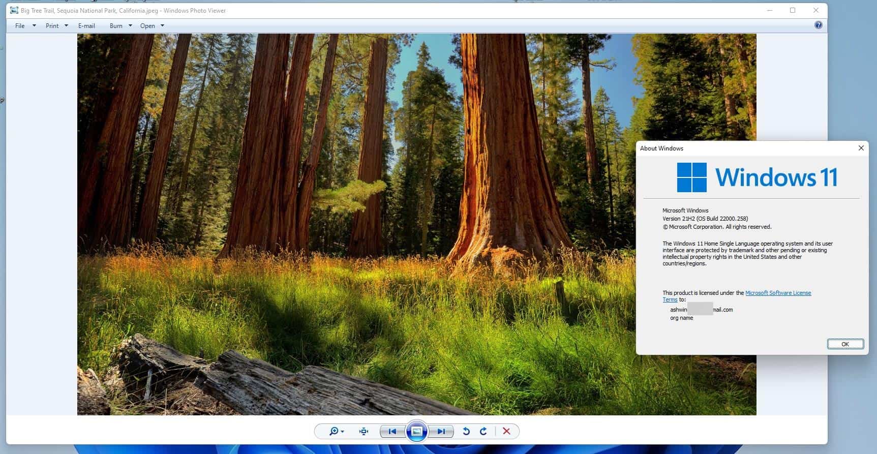 How to restore the Windows Photo Viewer in Windows 11 Windows-Photo-Viewer-in-Windows-11.jpg