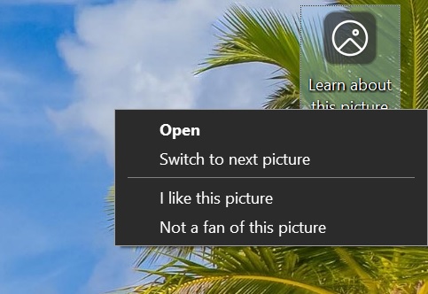 Windows 10 KB5035941 out with features (direct download) Windows-Spotlight-on-desktop.jpg
