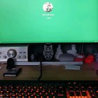 Does anyone know why this is happening, I experiencing this for a little while now. It... Y4iGcRDtcpsngK3p8TamWgS8IU-EUjyR8LNgViNHsAg.jpg