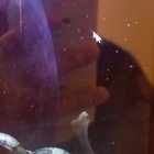 Is it just me, or is the hold and drag function flickering more than usual? Surface Book 2 ZHrHXLQKO88tjnx21kuk4Nndl977-Od9tyxy49u-o2M.jpg