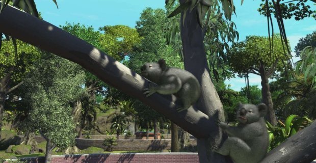 This Week on Xbox: October 5, 2018 zootycoon-large.jpg