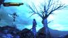 anima-1-large.jpg