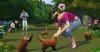 sims4catsdogs-large-1.jpg